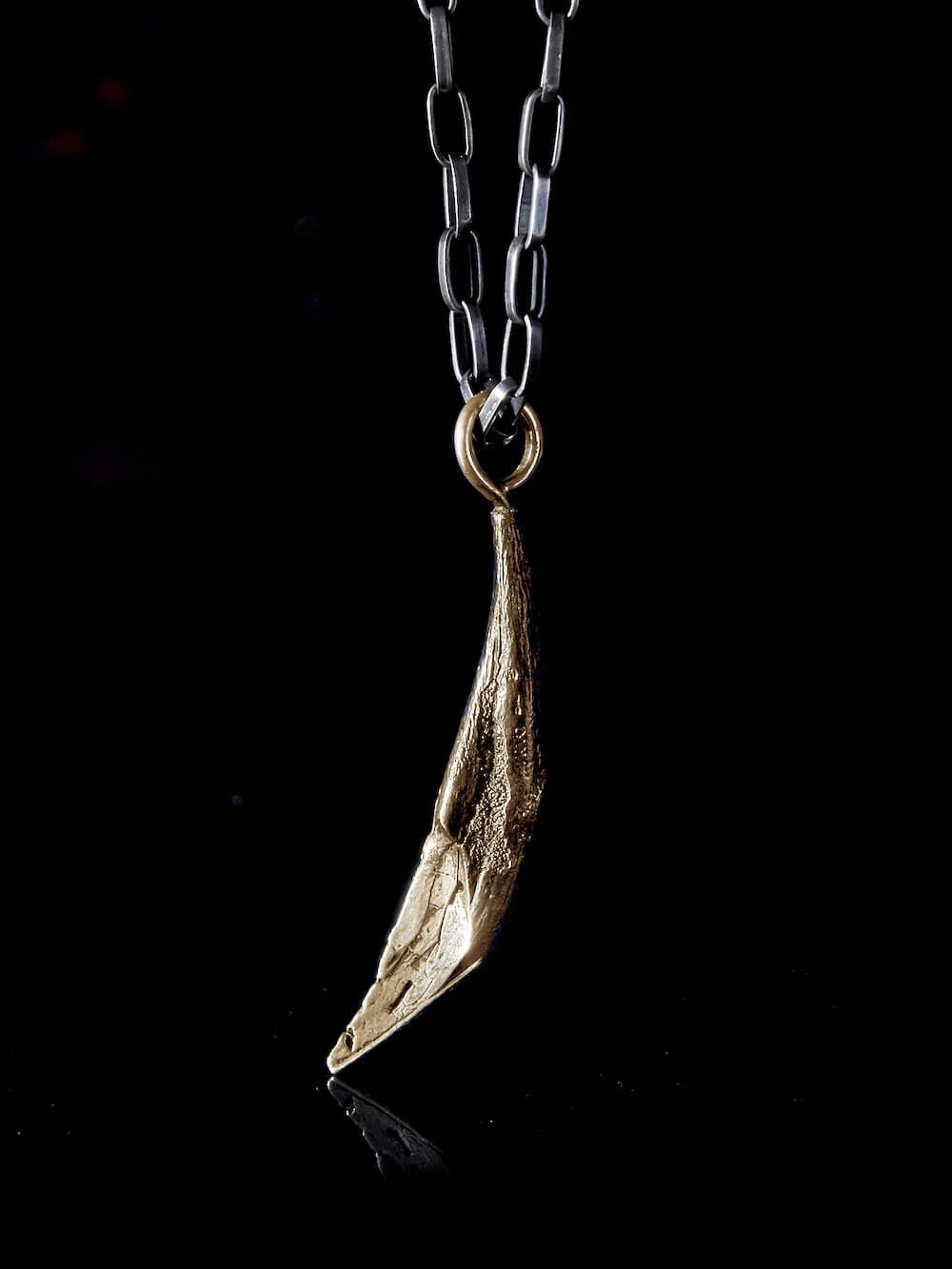 Baboon Tooth Pendant - Image 4