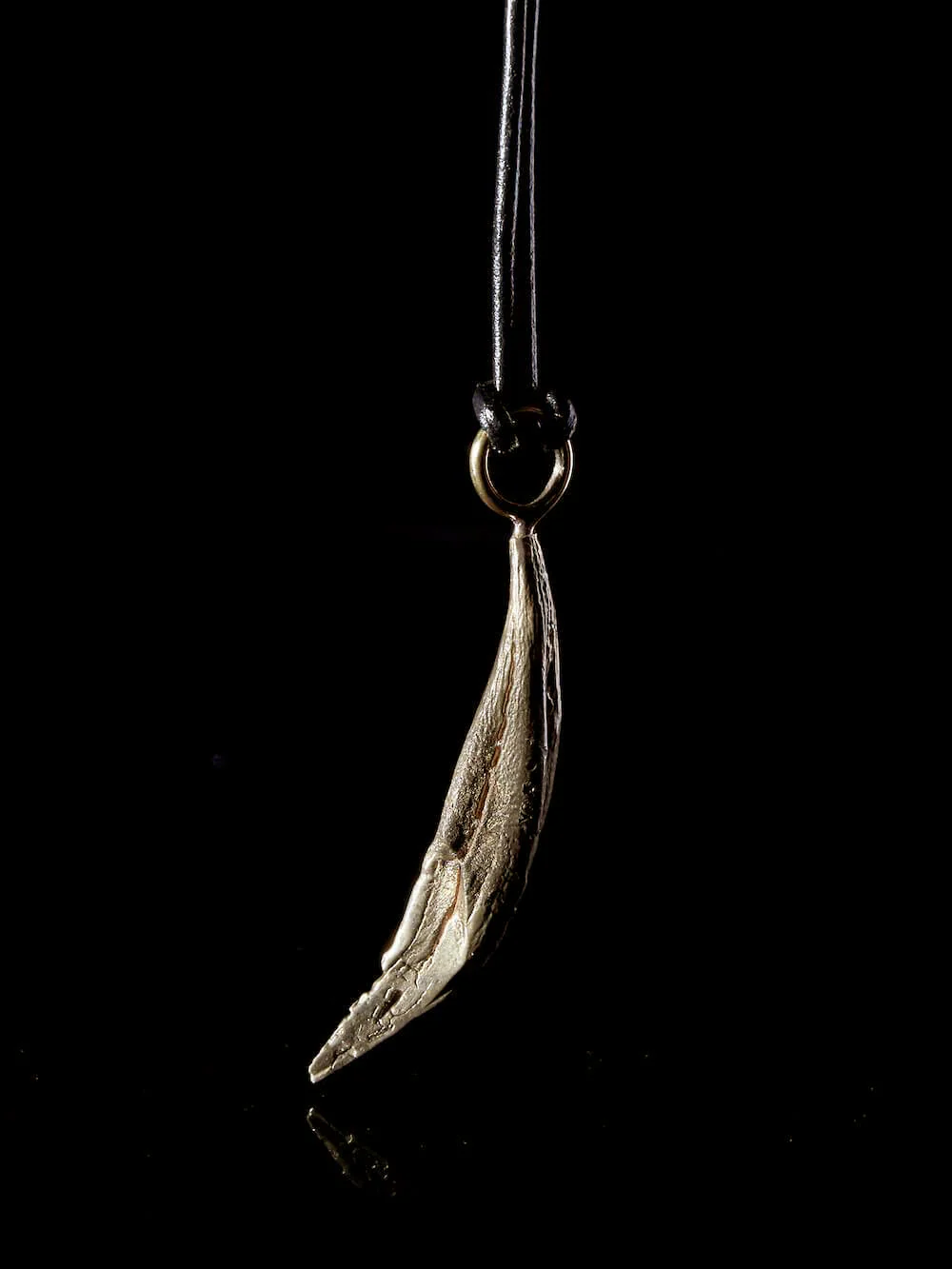 Baboon Tooth Pendant - Image 5