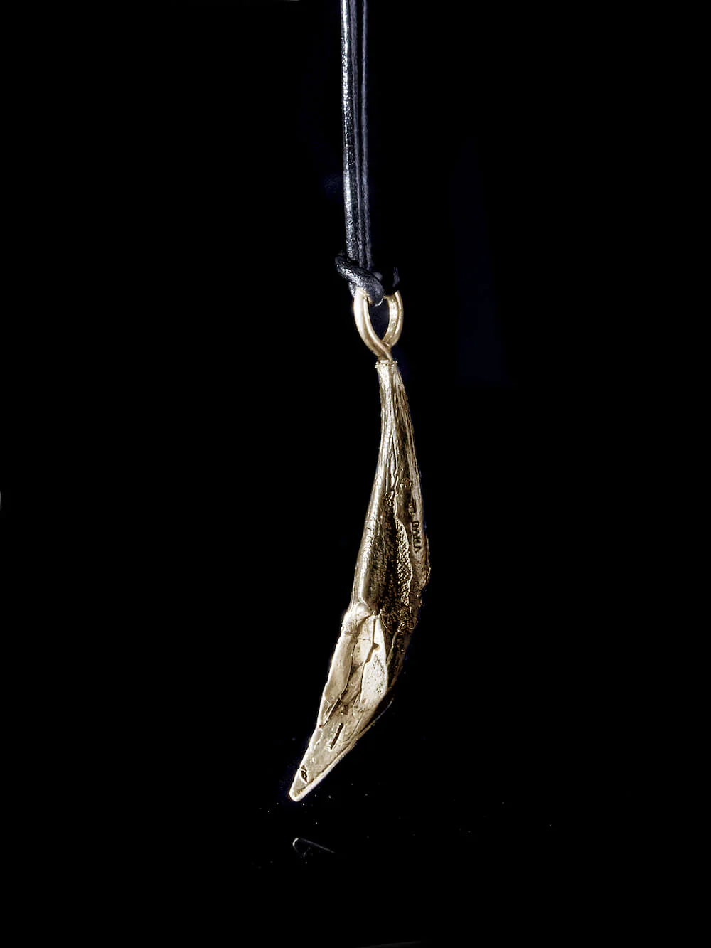 Baboon Tooth Pendant - Image 7