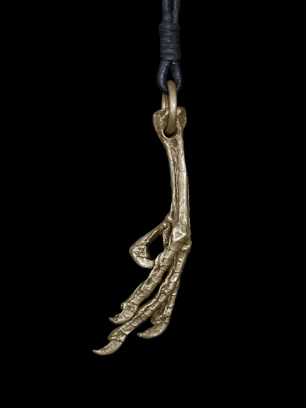Hand of Bird - Image 3