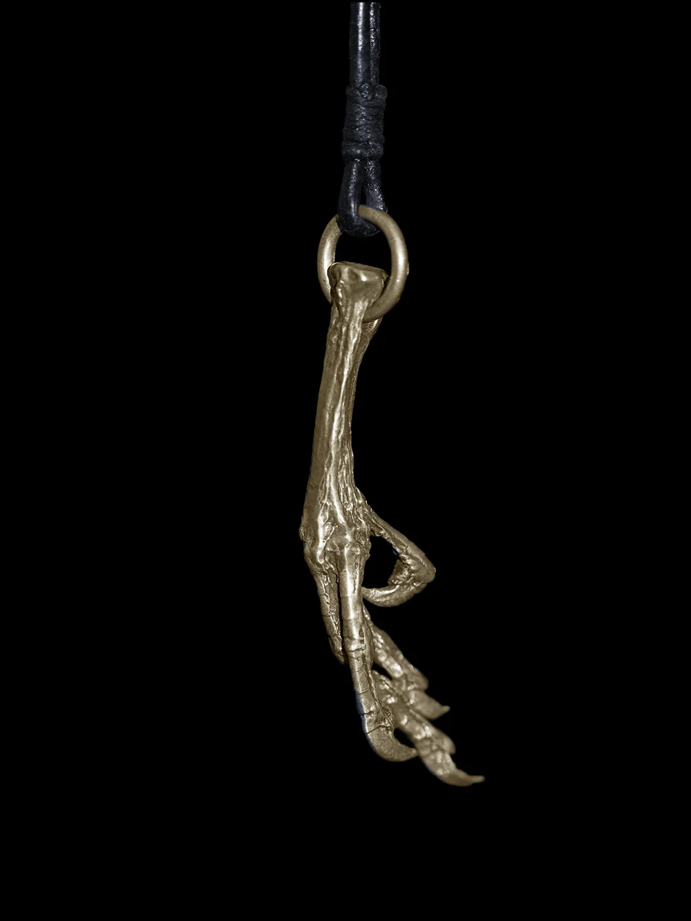 Hand of Bird - Image 4