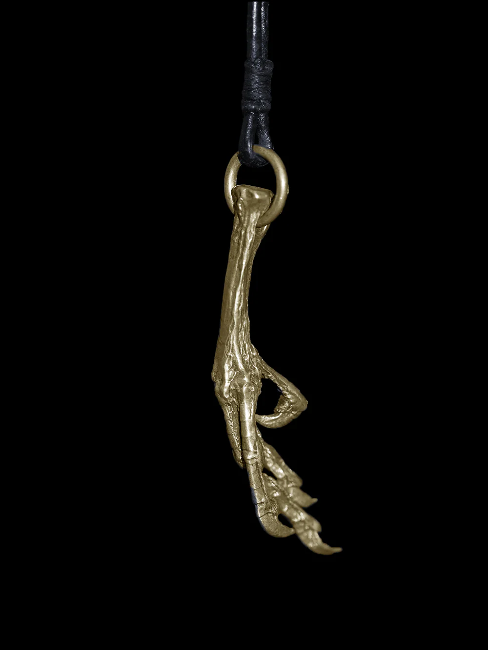 Hand of Bird - Image 6