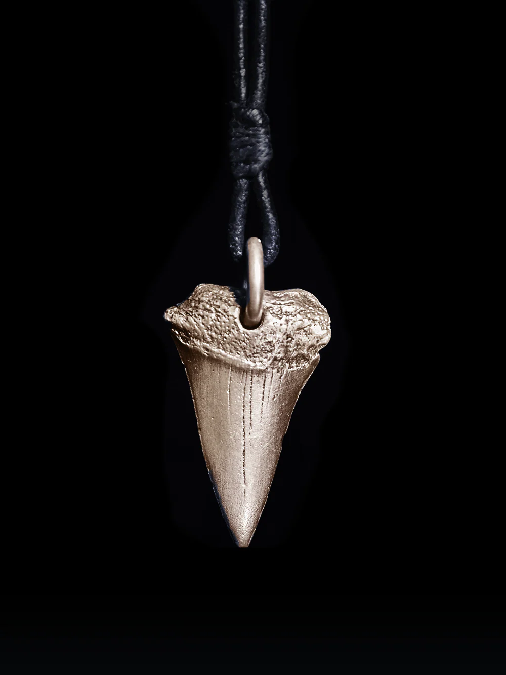 Great White Tooth Pendant - Image 5