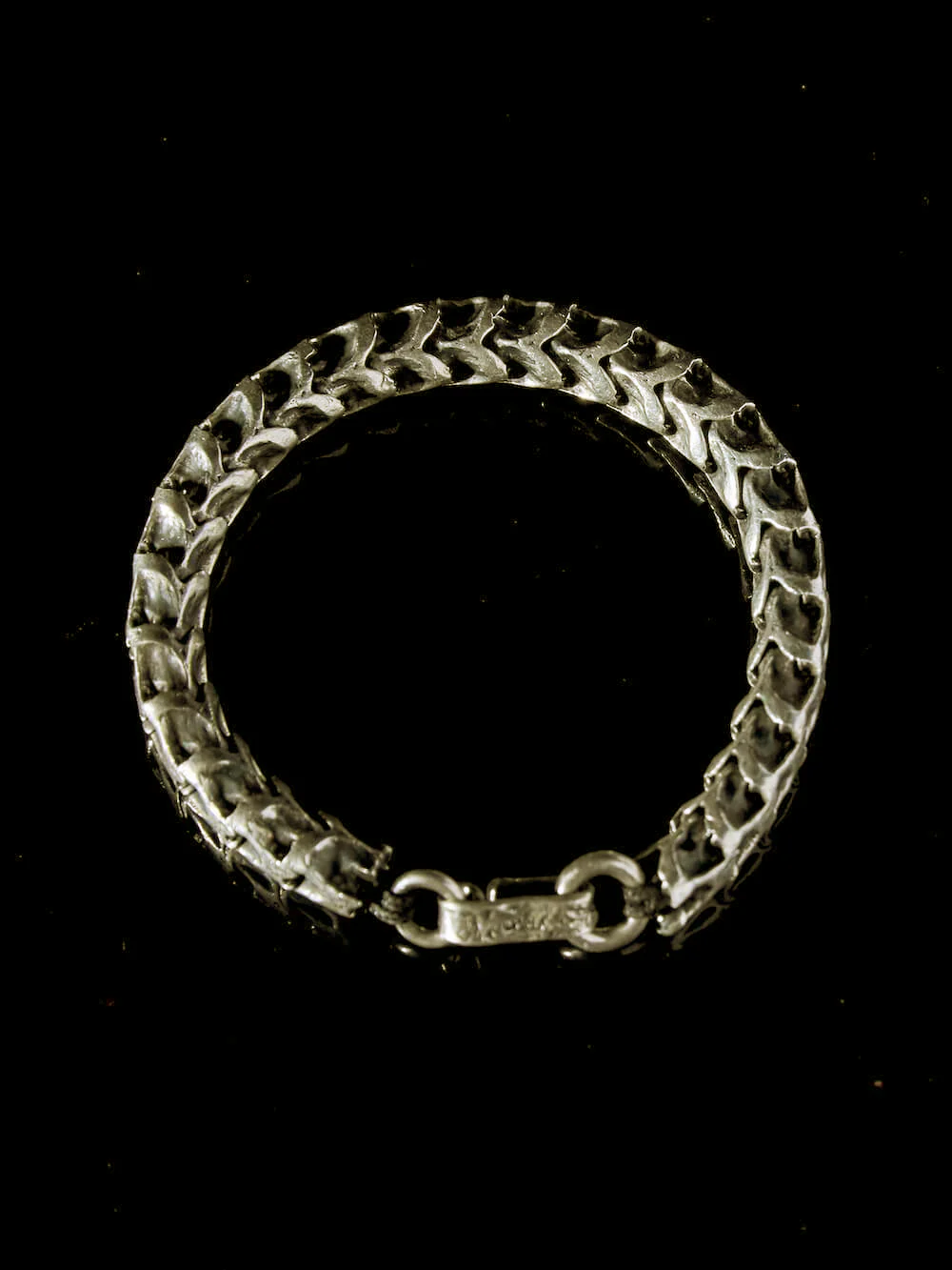 Python Vertebrae Bracelet - Image 3